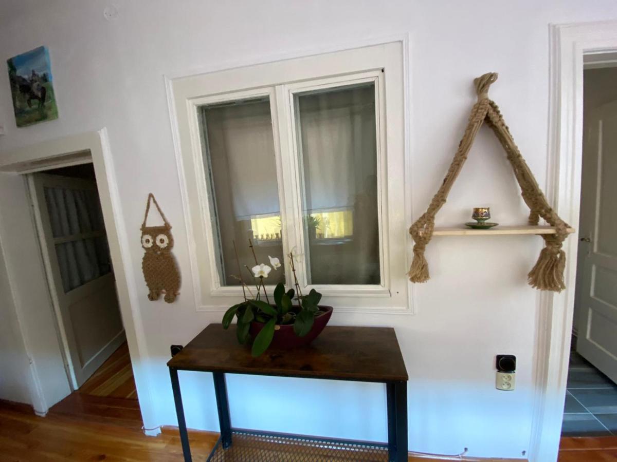 Home Of Art Rîşnov Luaran gambar